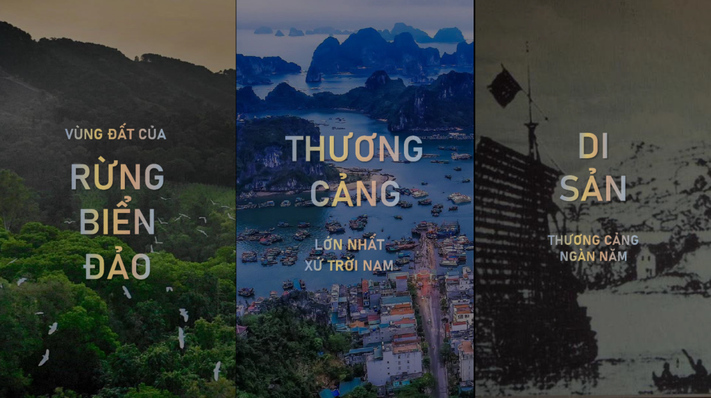 tiem nang vo han cua khu kinh te van don